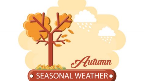 Autumn Season Design
