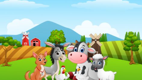 Farm Animals Happy In Front Of Cage