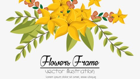 Flowers Beautiful Frame Decorative