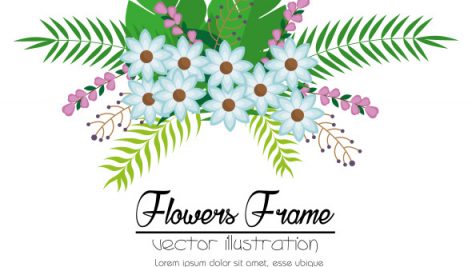 Flowers Beautiful Frame Decorative 6