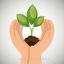 Hands Holding Plant Green Concept Ecological