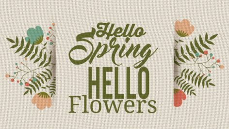 Hello Spring Design