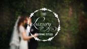 Preview 100 Luxury Wedding Titles 12245773