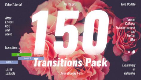 Preview 150 Transitions Pack 19918260