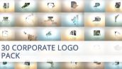 Preview 30 Corporate Logo Animation Pack 20022901