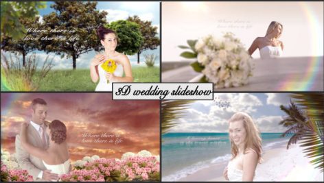 Preview 3D Wedding Slideshow 3763588 Full Hd