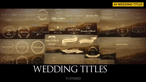 Preview 44 Wedding Titles 17622074
