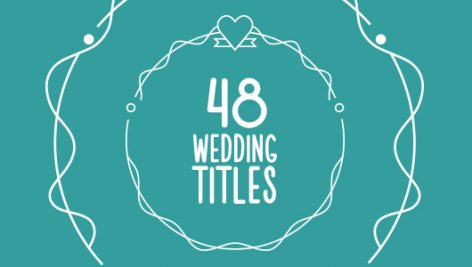 Preview 48 Wedding Titles 15673904