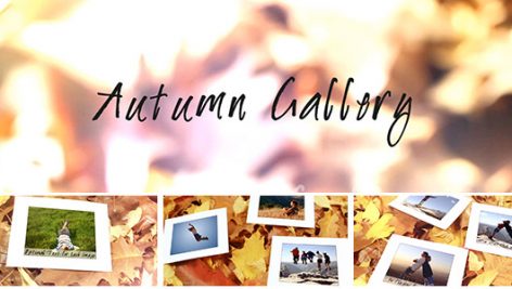 Preview Autumn Gallery 6000529