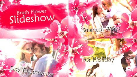 Preview Brush Flower Slideshow 13156131