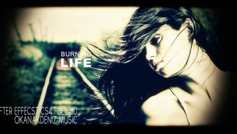 Preview Burning Life