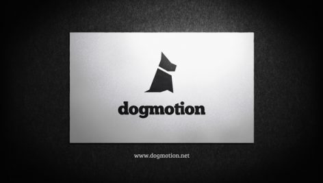 Preview Business Card Corporate Logo Reveal 10469940