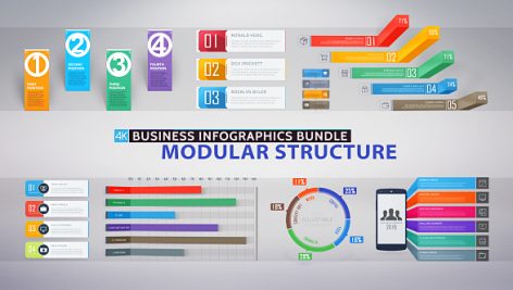 Preview Business Infographics Bundle 19823192
