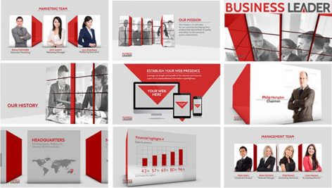 Preview Business Leader 11779855