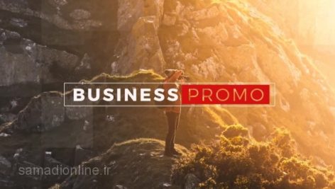 Preview Business Promo 91979