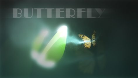 Preview Butterfly Logo Reveal 280982