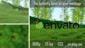 Preview Butterfly Logo Reveal 6735223
