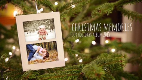 Preview Christmas Photo Gallery