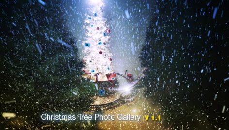 Preview Christmas Tree Photo Gallery 5889477