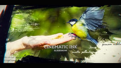 Preview Cinematic Ink Slideshow 19704339