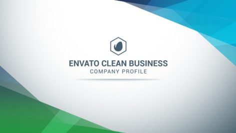 Preview Clean Business Company Profile 17883000