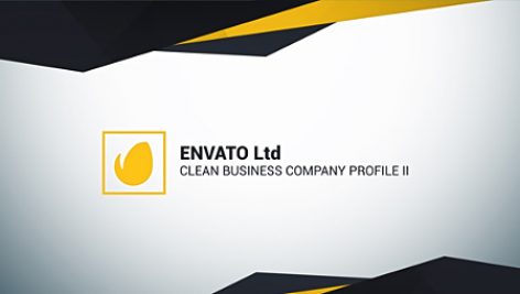 Preview Clean Business Company Profile Ii 20040403