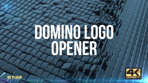 Preview Domino Logo Opener 15618105