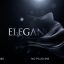 Preview Elegant Logo Reveal 22534577