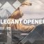 Preview Elegant Opener 14822667