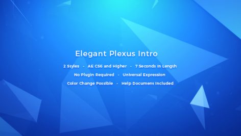Preview Elegant Plexus Intro 16131463