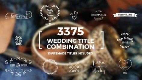 Preview Elegant Wedding Title Combination Pack 14098344