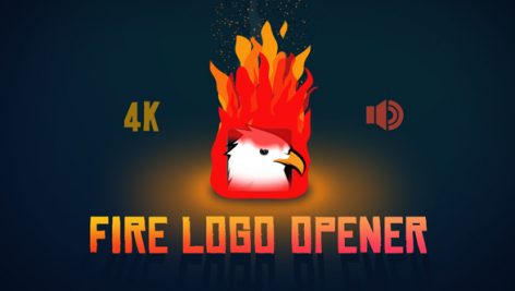 Preview Fire Logo Opener 14852559