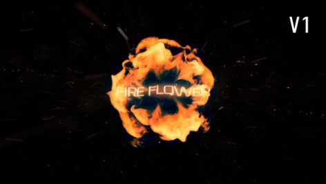 Preview Fire Flower 9194812