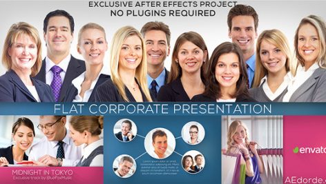 Preview Flat Corporate Presentation 7477666