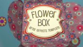 Preview Flower Box Display 5948975