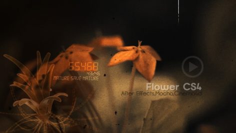 Preview Flowers