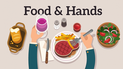 Preview Food Hands Explainer 11101923
