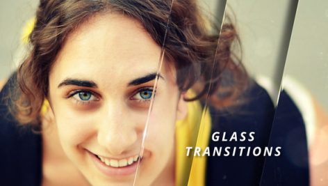 Preview Glass Transitions 22566677
