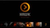 Preview Hawk Logo 19866869