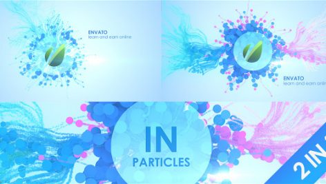 Preview In Particles