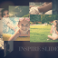 Preview Inspire Slideshow 16725623