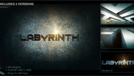 Preview Labyrinth Logo 5141040