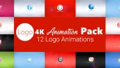 Preview Logo 4K Animation Pack 20405671