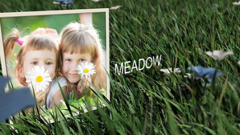 Preview Meadow