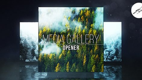 Preview Media Gallery Opener 1 19167600