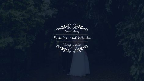 Preview Motion Array Wedding Titles 1