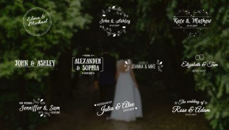 Preview Motion Array Wedding Titles