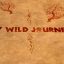Preview My Wild Journey
