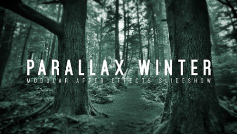 Preview Parallax Winter 18013193