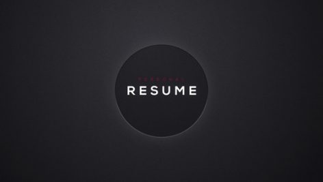 Preview Personal Resume 12462034